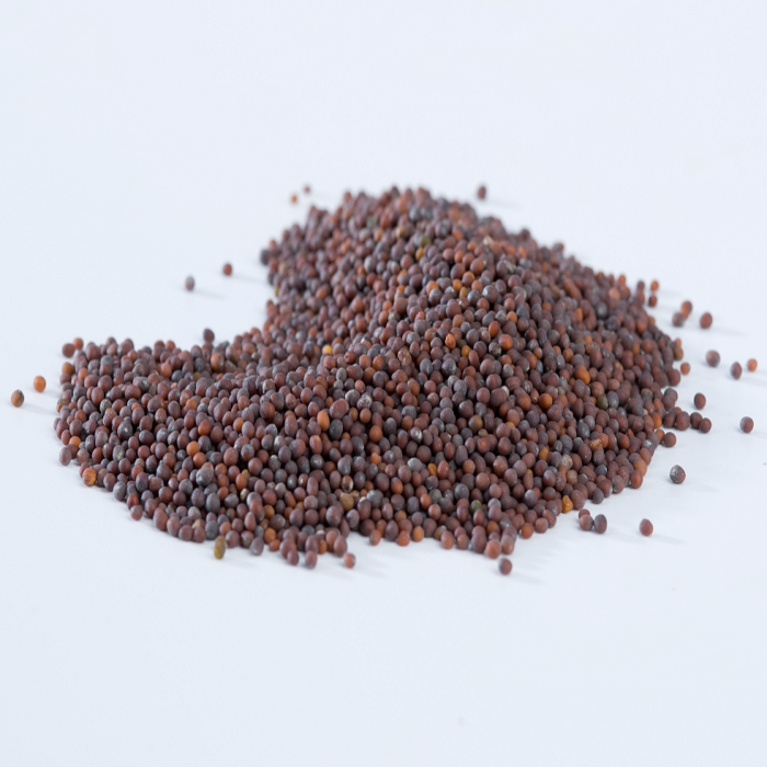 Grains de moutarde entier noir